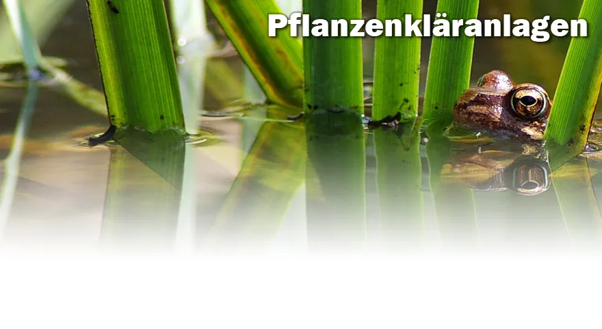 Pflanzenkläranlagen
